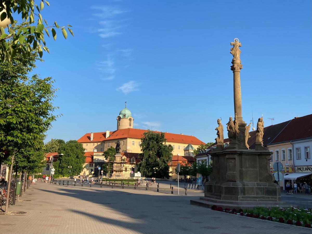 Zahradni Domek V Podebradech Podebrady Exterior photo
